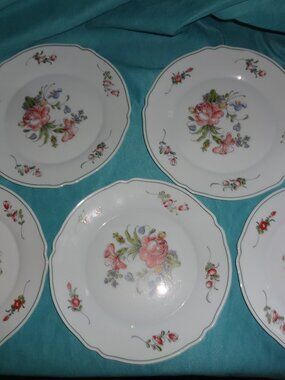 5-ARC Arcopal Provincial  10" Dinner Plates 1960’s France scalloped edge
